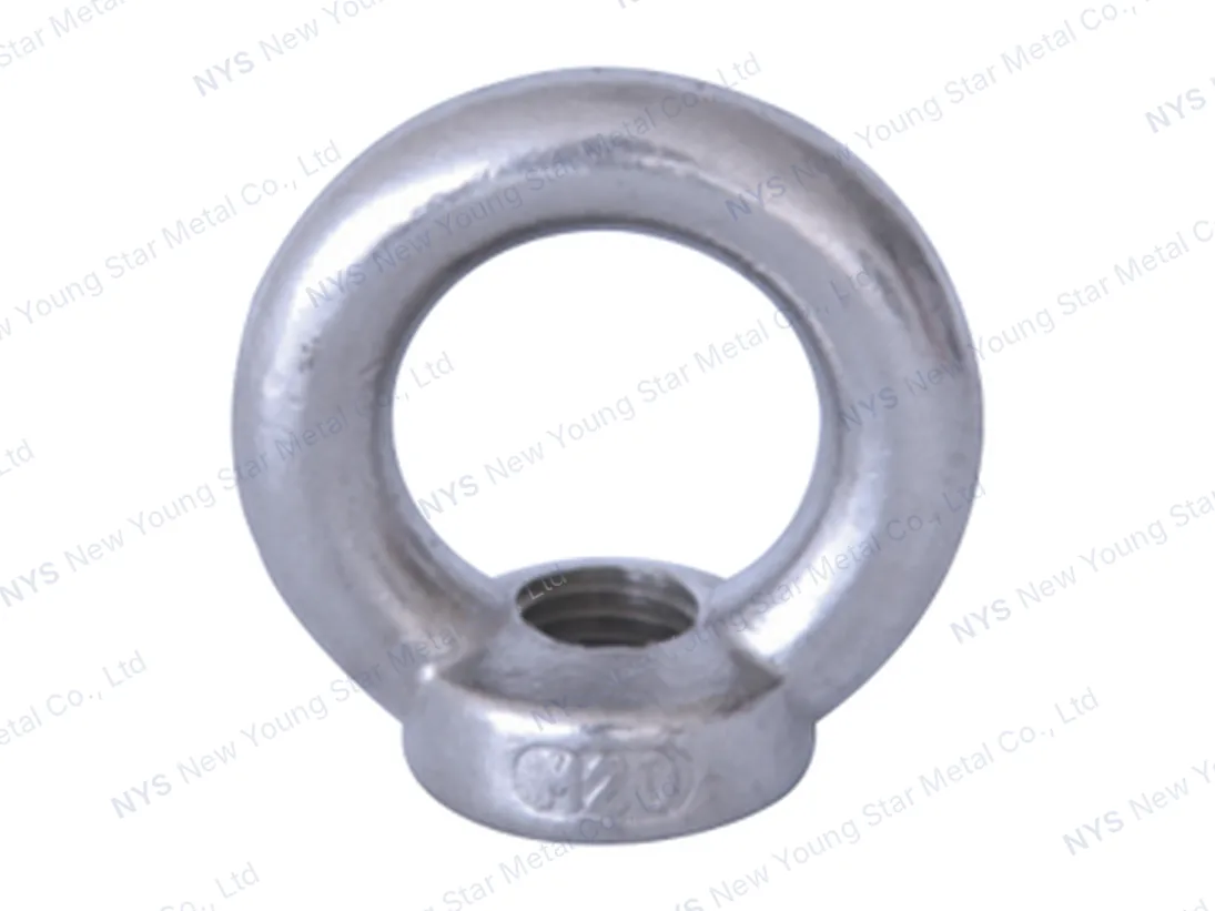 Eye Bolt DIN582